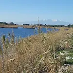 Le Flamant Rose ポール・ラ・ヌーヴェル